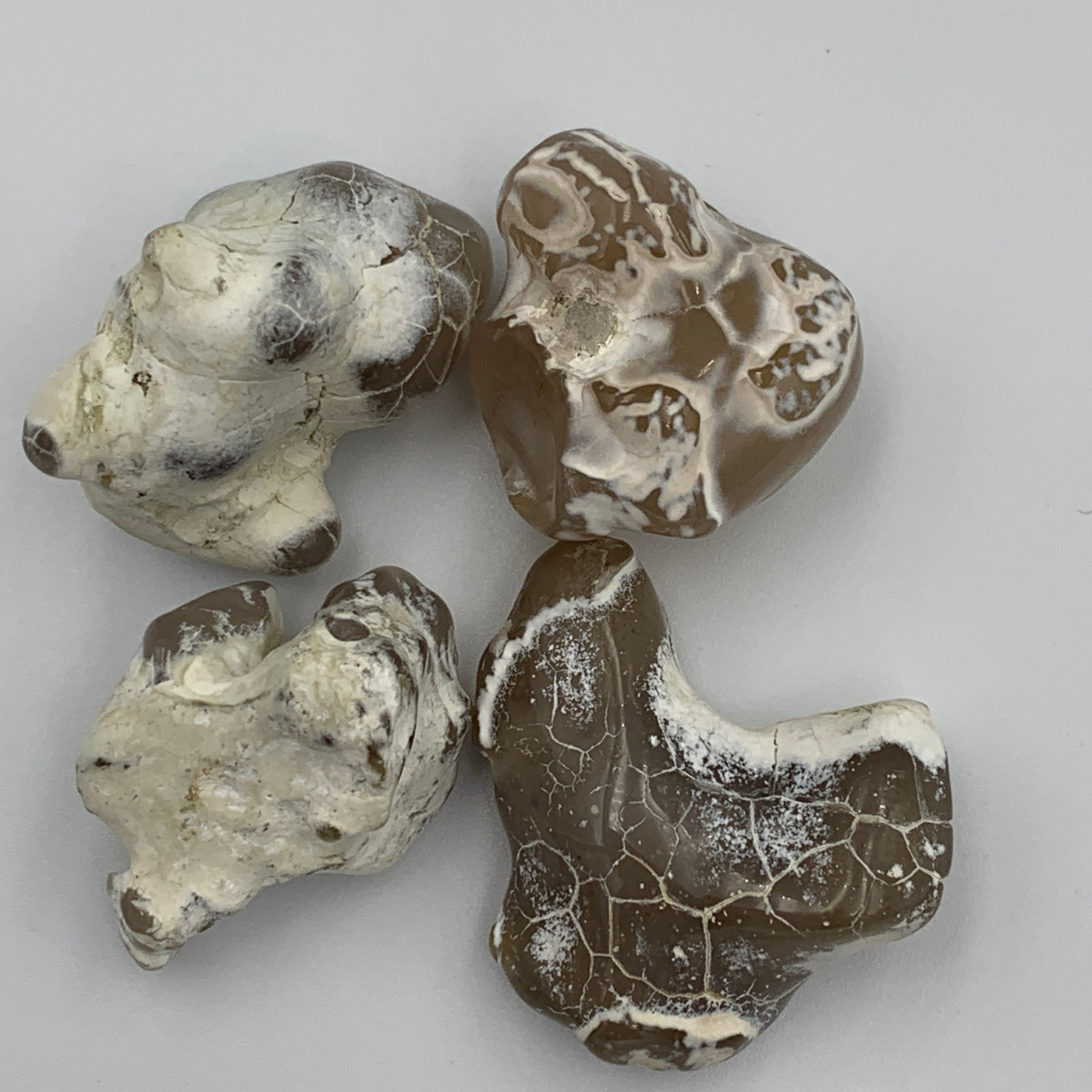 Agaat Slangenhuid / Snakeskin