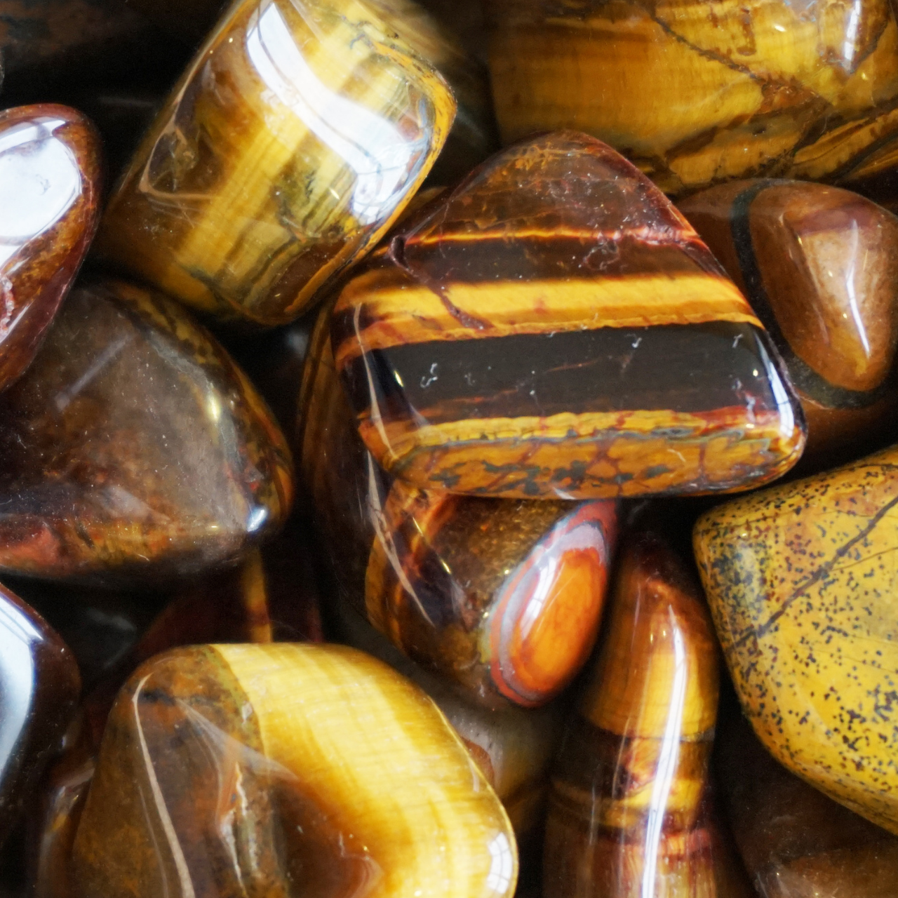 Tijgeroog voor bescherming